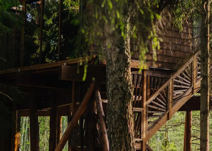 - Linnast Vaelja, Puu Otsa! Lodge *