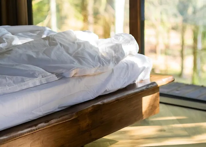 - Linnast Vaelja, Puu Otsa! Lootvina