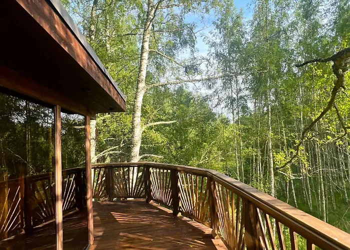 - Linnast Vaelja, Puu Otsa!